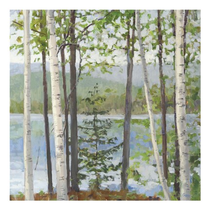 Framed Cooper Lake I Print