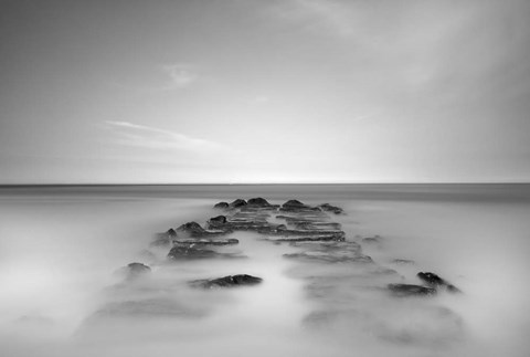 Framed Borne Back Print