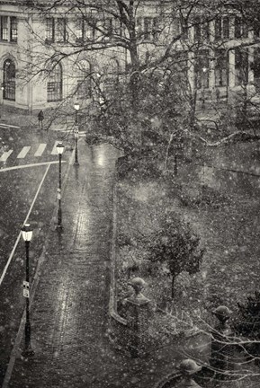 Framed Trompe L&#39;Oeil Print