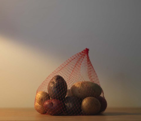 Framed Captivity Print