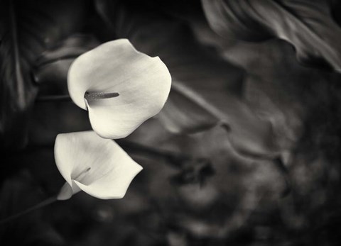 Framed Something More Beside You Print