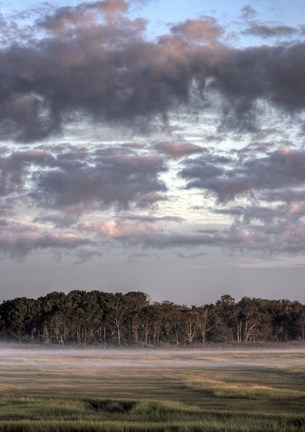 Framed Sublimation Print