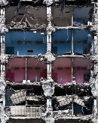 Framed Organelles Print