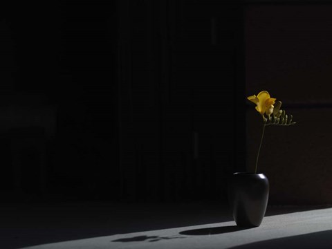 Framed Void (Still Life in Moonlight) Print