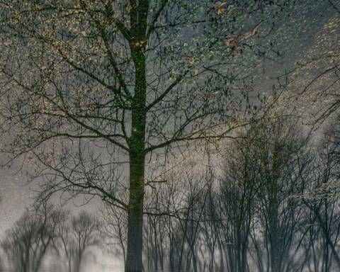 Framed Your Luck Pushes Back Print