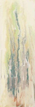 Framed Cascade Print