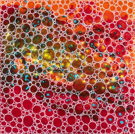 Framed Dimension 19 Print