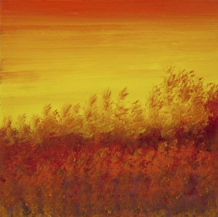 Framed Views of Nature 12 Print