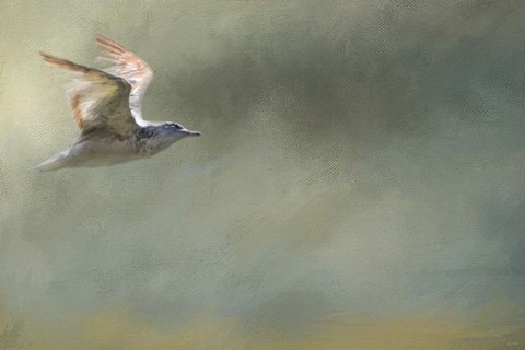 Framed Day At The Beach 2 Print