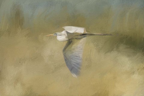 Framed Day At The Beach 4 Print