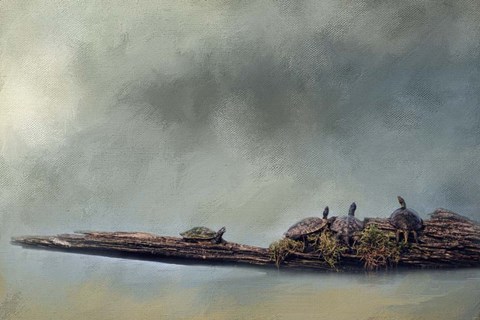 Framed Dare To Be Different Print