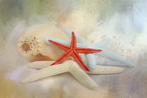 Framed Gifts From The Sea Print