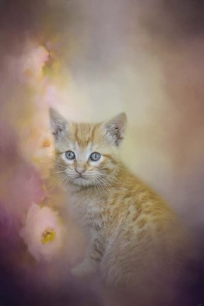 Framed Sweet Moment 1 Print