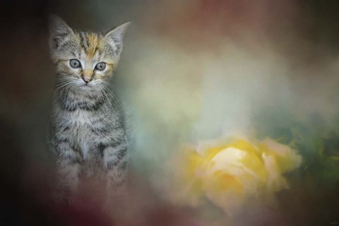 Framed Sweet Moment 2 Print