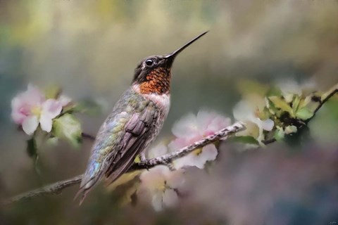 Framed Garden Guardian Print