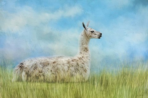 Framed Just Chillin Print