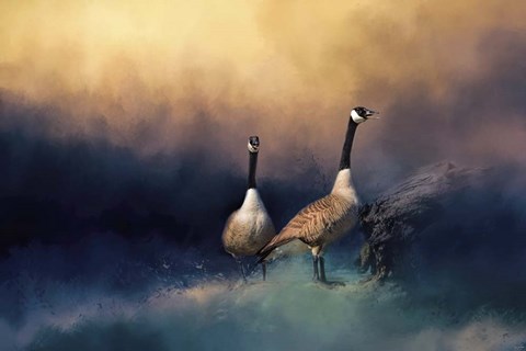 Framed Stranded Print