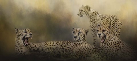 Framed Coalition Print