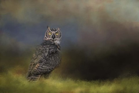Framed Night With The Great Horned Owl 4 Print