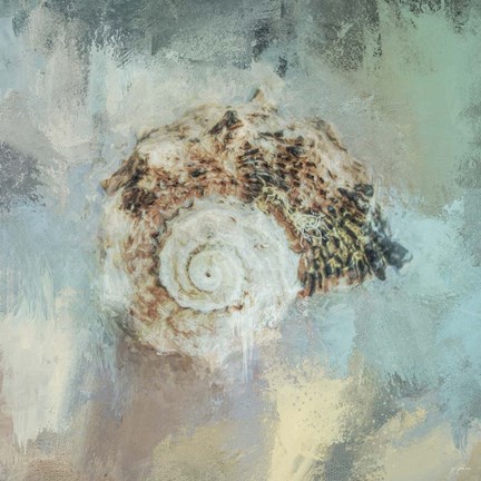 Framed Beach Treasure 1 Print