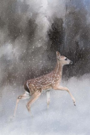 Framed Braving Her First Snow Print