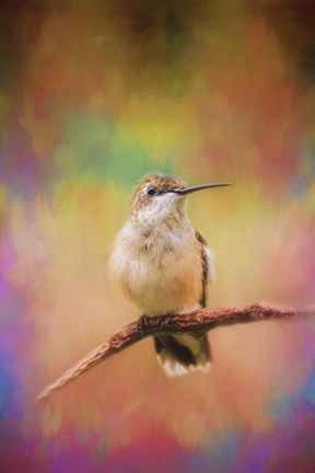 Framed Colorful Personality Print