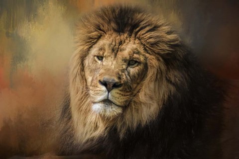 Framed Heat Wave Print