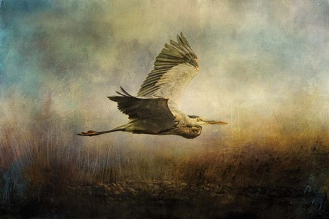 Framed Low Flyer Print