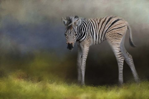 Framed New Life 2 Print