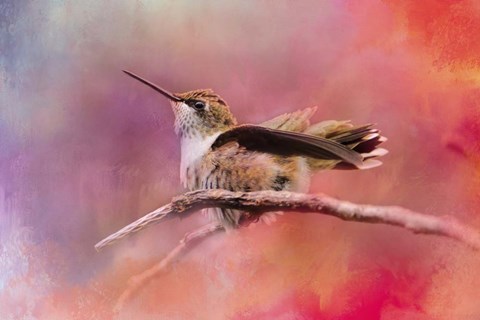 Framed Pretty In Pink Print