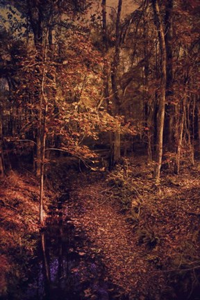 Framed Shiloh Creek 1 Print