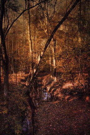 Framed Shiloh Creek 2 Print