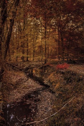 Framed Shiloh Creek 5 Print