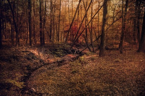 Framed Shiloh Creek 6 Print