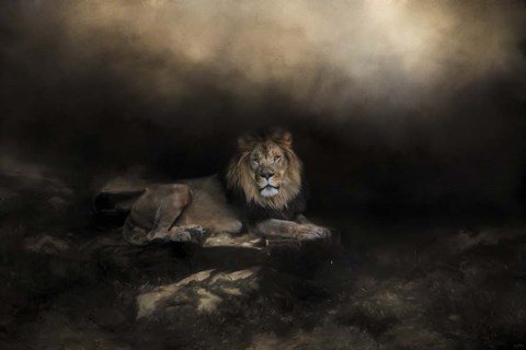 Framed Kings Domain Print