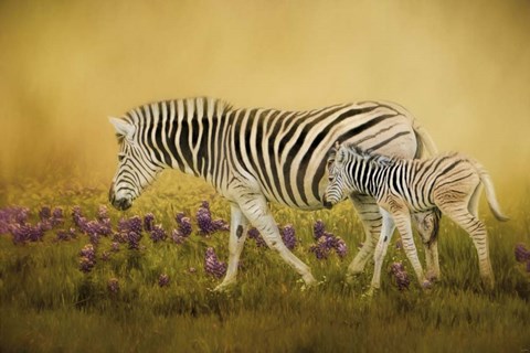 Framed Through The Meadow Print