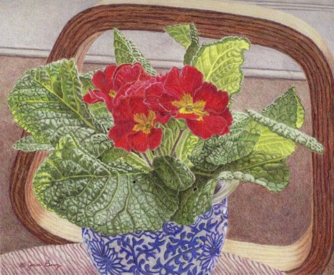 Framed Primrose Print