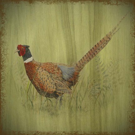 Framed Wilderness Lodge-Q7 Print