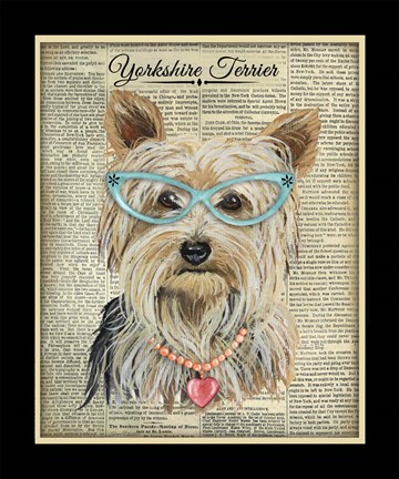 Framed Yorkshire Terrier Print