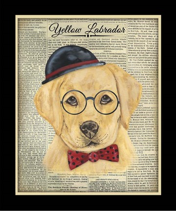 Framed Yellow Labrador Print