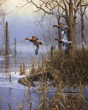 Framed After The Thaw Print