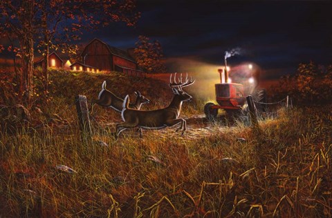 Framed Field Of Dreams 2 Print