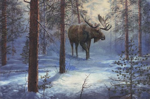 Framed North Country Print