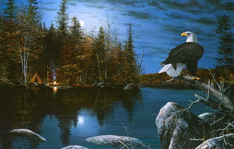 Framed Reflections Print