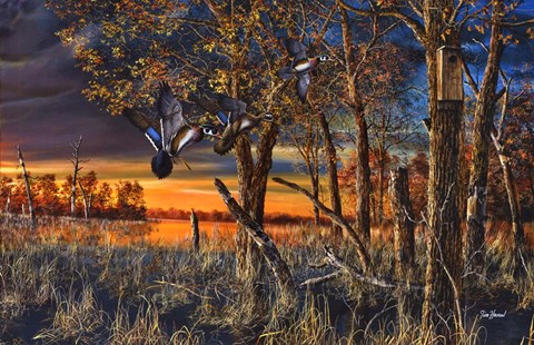 Framed Return to the Refuge Print