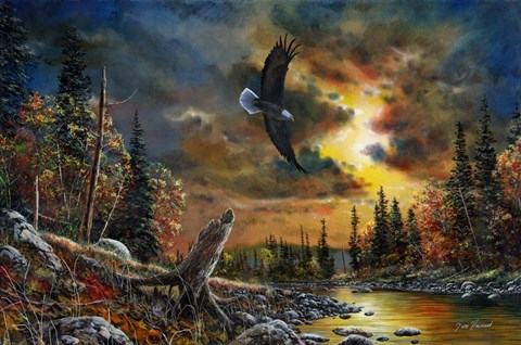 Framed Watchful Eyes Print