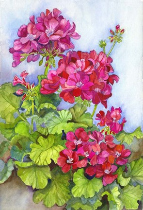 Framed Bold Blue Sky Bright Geraniums Print