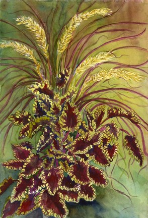 Framed Coleus and Grasses Print