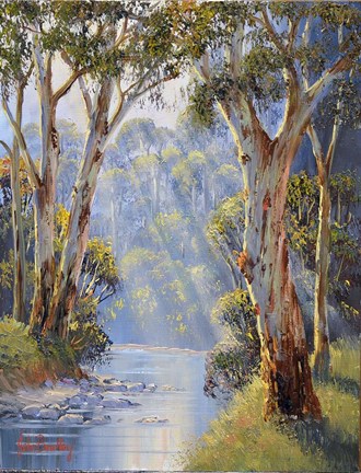 Framed Riverside Gums   Tumut Print