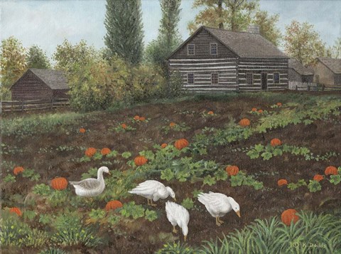 Framed October Morning Print